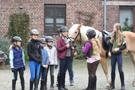 Ferienlehrgang für junge Reiterinnen ab 10 Jahre bei Inke Reichelt